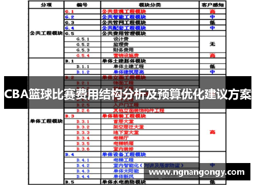 CBA篮球比赛费用结构分析及预算优化建议方案